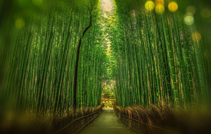 Kyoto, Japan